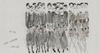 Fototapeta Wall&Deco - Academie royale WDAR2002