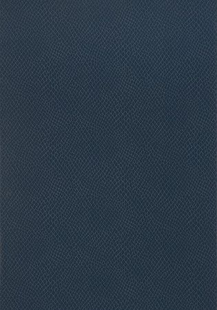 Tapeta Thibaut Greenwood - Yuma T85061
