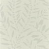 Tapeta Harlequin Anthozoa - Chaconia Shimmer 111659 