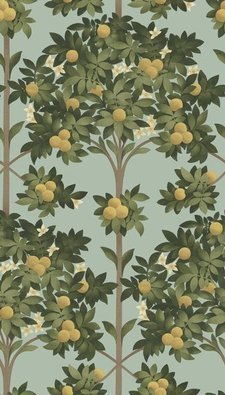 Tapeta Cole&Son Seville - Orange Blossom 117/1002