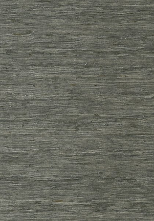 Tapeta Thibaut Greenwood - T85009