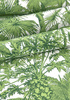Tapeta Thibaut Tropics - T10105