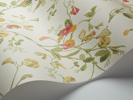 Tapeta Cole&Son Botanical Botanica - Sweet Pea 100/6027
