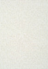 Tapeta Thibaut Tropics - T10150