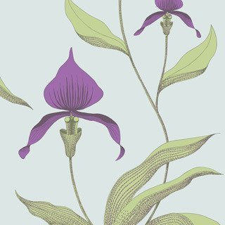 Tapeta Cole&Son New Contemporary - Orchid 66/4027