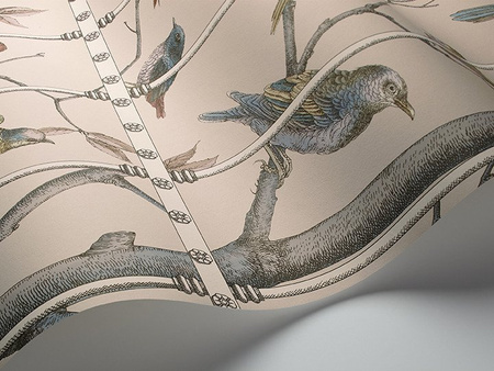 Tapeta Cole&Son Fornasetti Senza Tempo - Ucceli 114/11022