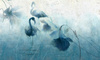 Fototapeta Wonderwall - Mira 35 0480 03