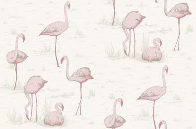 Tapeta Cole&Son The Contemporary Collection - Flamingos 95/8045