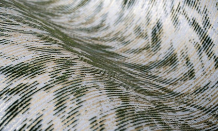 Tapeta Arte Moooi Extinct Animals - Blushing Sloth MO2043