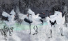Fototapeta Wonderwall - Storks 35 0459 01