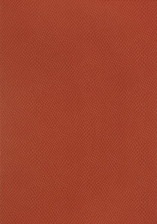 Tapeta Thibaut Greenwood - Yuma T85062