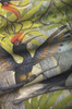Fototapeta Wonderwall - Hornbill 35 0841 05