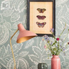 Tapeta Sanderson Caspian - Cantaloupe 216763