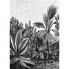 Panel Caselio Beauty Full Image - 102059018
