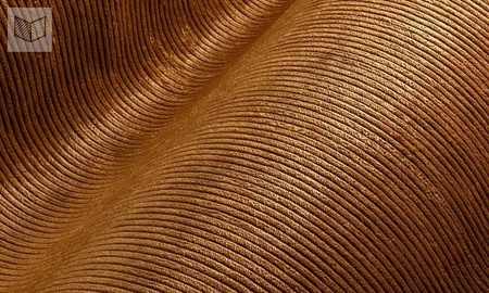 Tapeta Arte Lush - Corduroy 29512