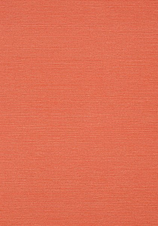 Tapeta Thibaut Texture Resource 6 - T289
