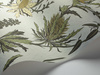 Tapeta Cole&Son Botanical Botanica - Thistle 115/14042