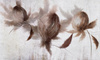 Fototapeta Wonderwall - Protea 35 0711 01