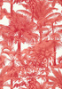 Tapeta Thibaut Tropics - T10105