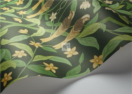 Tapeta Cole&Son Seville - Jasmine&Serin Symphony 117/10029