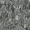 Tapeta Harlequin Mirador - Nirmala 112242