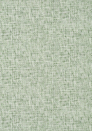 Tapeta Thibaut Tropics - T10148