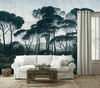 Fototapeta Dekorami - Italian Pines dusk