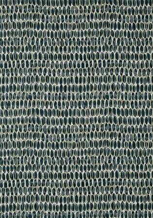 Tapeta Thibaut Tropics - T10097