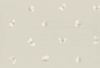 Tapeta Cole&Son Whimsical - Peaseblossom 103/10035