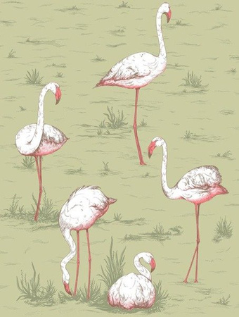 Tapeta Cole&Son Icons - Flamingos 112/11038