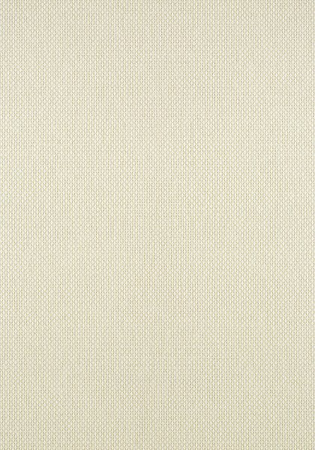 Tapeta Thibaut Texture Resource 6 - T304