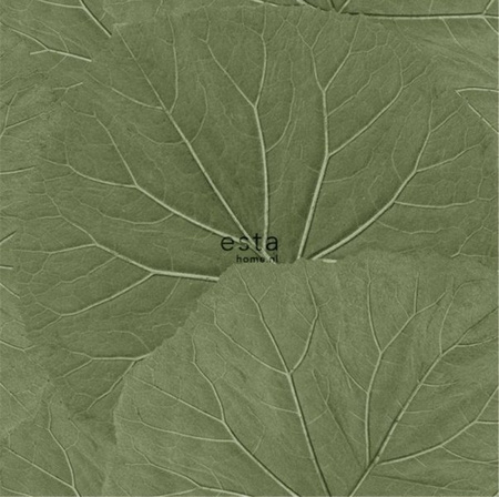 Tapeta Esta Home Jungle Fever - 138995