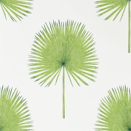 Tapeta Sanderson Glasshouse - Fan Palm 216636