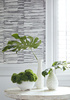 Tapeta Thibaut Tropics - T10117