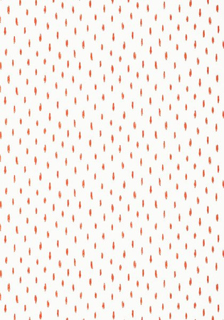 Tapeta Thibaut Summer House - T13160