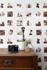 Tapeta Esta Home FAB - 138847