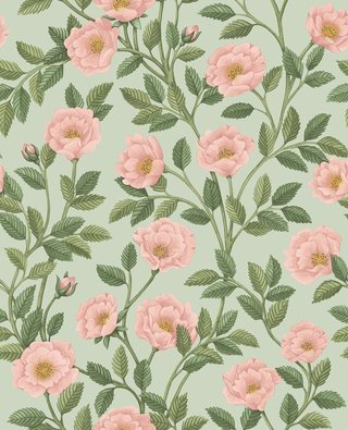 Tapeta Cole&Son Historic Royal Palaces – Great Masters - Hampton Roses 118/7014