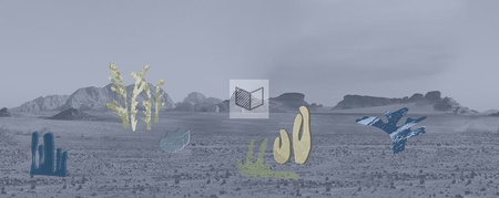 Fototapeta Wall&Deco - Desert botanica WDNQ2002