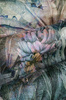 Fototapeta Wonderwall - Kenia 35 0784 07