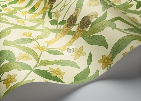 Tapeta Cole&Son Seville - Jasmine&Serin Symphony 117/10031