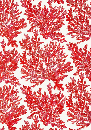 Tapeta Thibaut Tropics - T10120