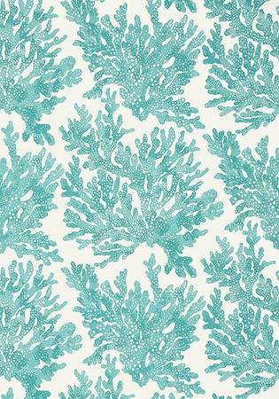 Tapeta Thibaut Tropics - T10121