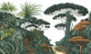 Fototapeta Wonderwall - Dryad 35 0559 01