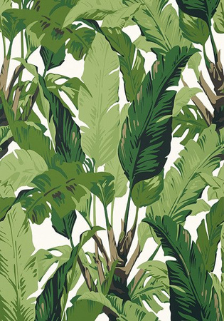 Tapeta Thibaut Tropics - T10127