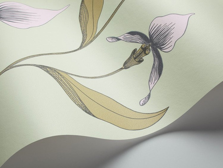 Tapeta Cole&Son New Contemporary - Orchid 66/4028
