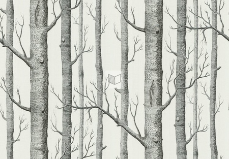 Tapeta Cole&Son The Contemporary Collection - Woods 69/12147  