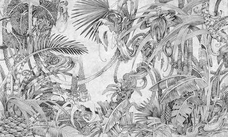 Fototapeta Wonderwall - Tropic 35 0712 01