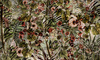 Fototapeta One Wall Design - FIGAZZANO MIL 201158-1