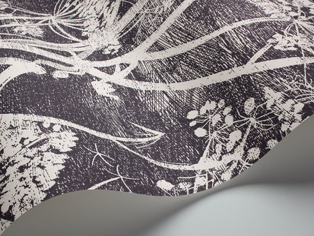Tapeta Cole&Son The Contemporary Collection - Cow Parsley 66/7046