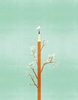 Fototapeta Wall & Deco - Charlie WDCH1602